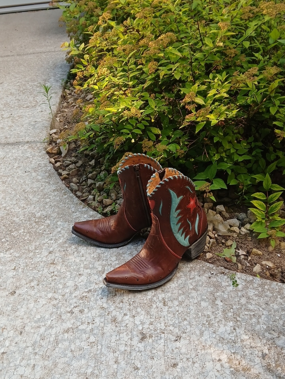 Old Gringo Denia Sz 9 - Picture 14 of 14